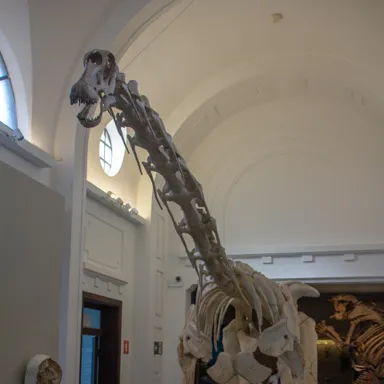 Tapuiasaurus