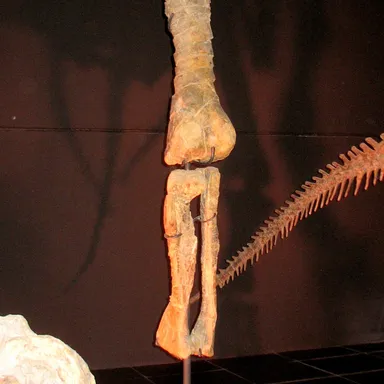 Tastavinsaurus