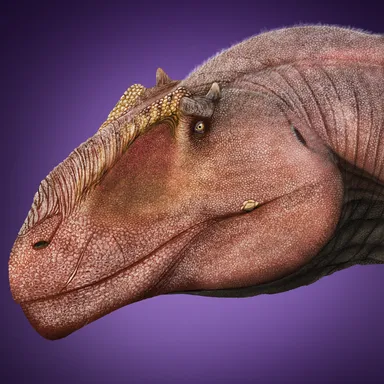 Taurovenator