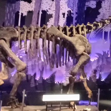 Tehuelchesaurus