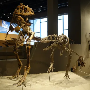 Teratophoneus