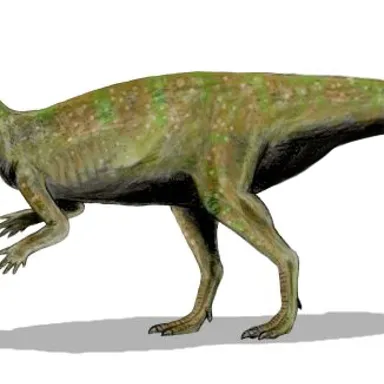 Thescelosaurus