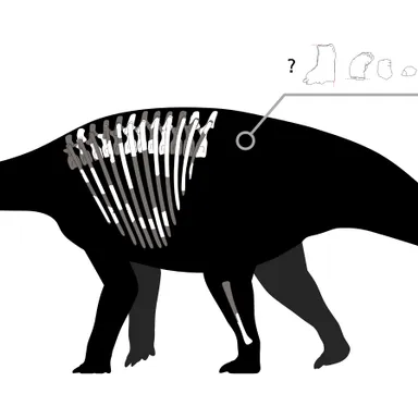 Thyreosaurus