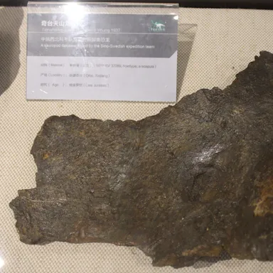 Tienshanosaurus