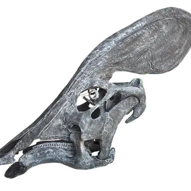 Tlatolophus