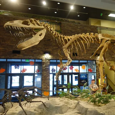 Torvosaurus