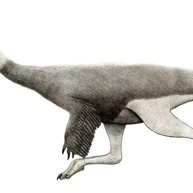 Tototlmimus