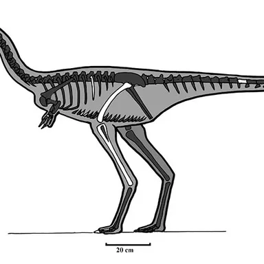 Tugulusaurus
