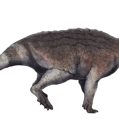 Turanoceratops