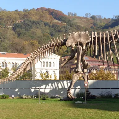 Turiasaurus