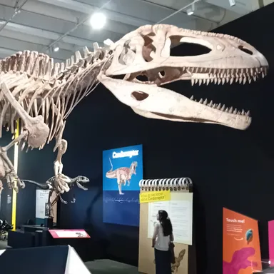 Tyrannotitan