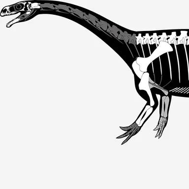 Unaysaurus