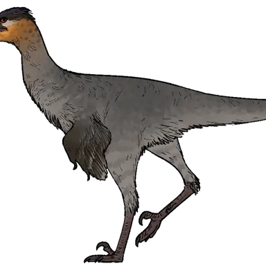 Urbacodon