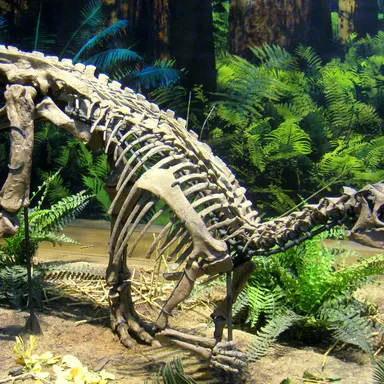 Uteodon