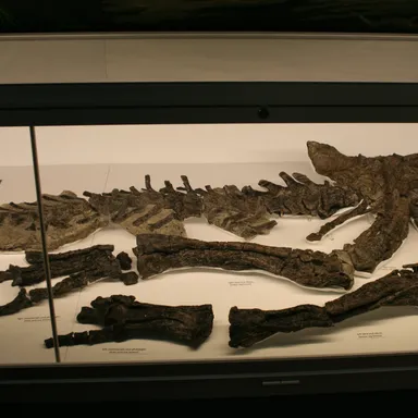 Valdosaurus