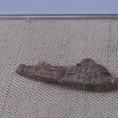 Wannanosaurus