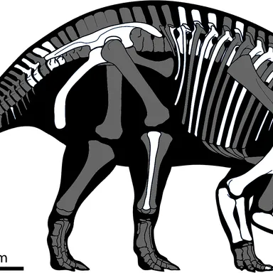 Wendiceratops