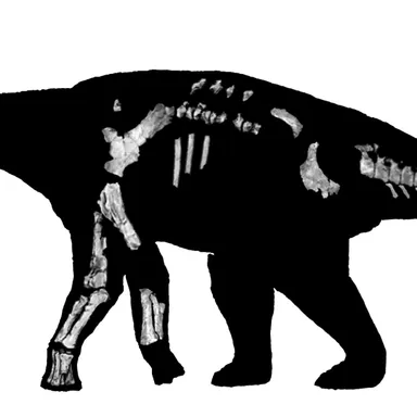 Wintonotitan