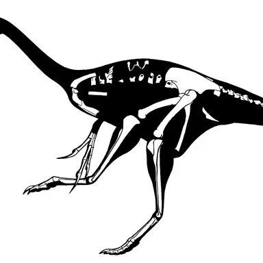 Wulatelong