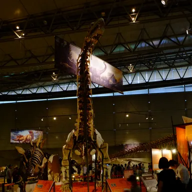 Xianshanosaurus