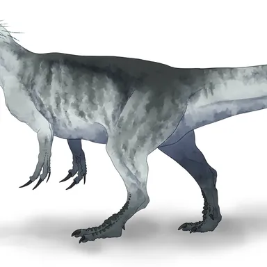 Xuanhanosaurus