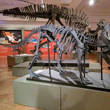 Yehuecauhceratops
