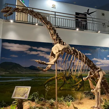 Yimenosaurus
