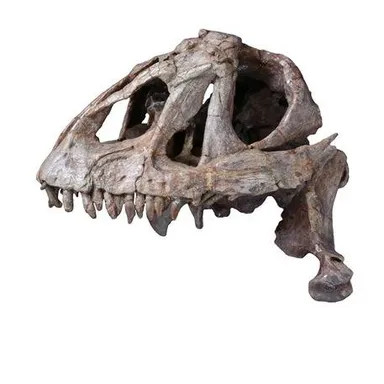 Yizhousaurus