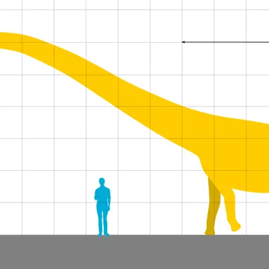 Yuanmousaurus