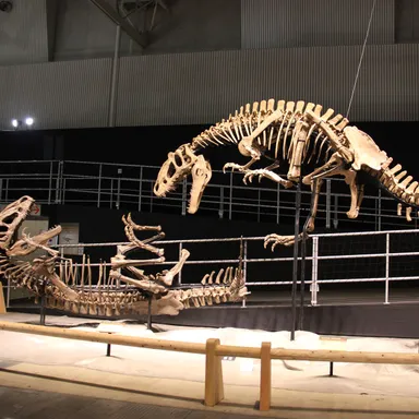 Yutyrannus