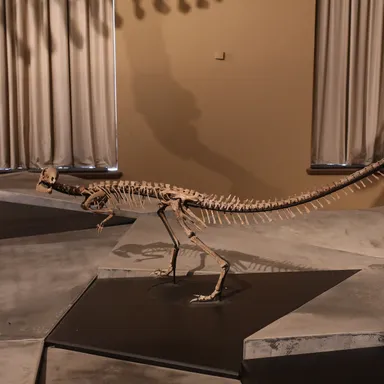 Zephyrosaurus